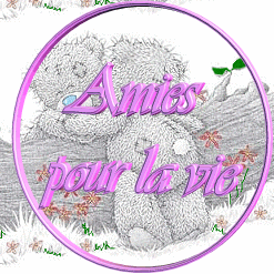 ami pour la vie