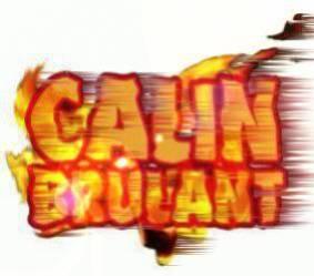 calin
